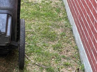 Weeding by Kenneth Benjamin for Jerry P. in Houston, TX