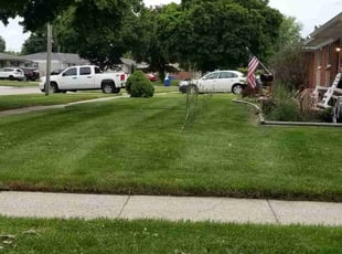 Bush Trimming by Alex Wolf for Kimberly C. in Warren, MI