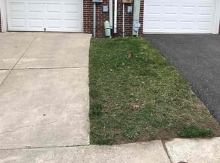 Yolanda C.'s Lawn Mowing service result