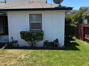 Bush Trimming by Mark Stephens for Joe G. in Torrance, CA