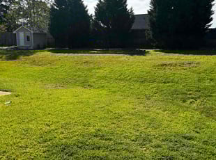 patricia c.'s Lawn Service service result
