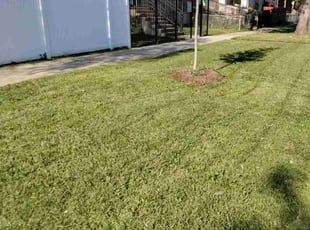 Gail S.'s Grass Cutting service result