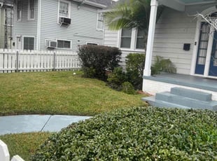 Bush Trimming by Nicholas Boutte for Dominic C. in New Orleans, LA