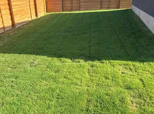 Maria L.'s Lawn Service service result