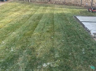 Leaf Removal by Justin Hands for Bobby K. in Denver, CO