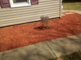 Mulching by David Moyer for Janet F. in Allentown, PA
