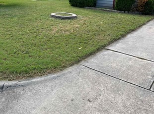Bush Trimming by Francisco Bermudez for Houda M. in Arlington, TX