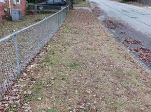 Leaf Removal by Darius Baugh for Houston L. in Atlanta, GA