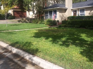 Brandon A.'s Lawn Service service result