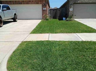 Jeffrey G.'s Grass Cutting service result
