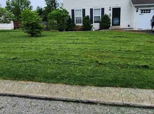 Shuran W.'s Lawn Care service result