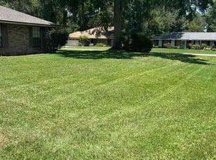 Don A.'s Lawn Care service result