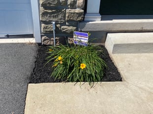 Mulching by Oren Fanok for Lorri S. in Gilbertsville, PA