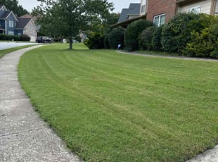 Sung C.'s Lawn Mowing service result