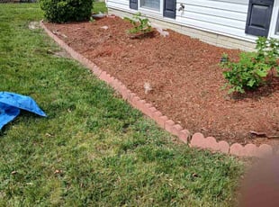 Weeding by Rodney Powell for Henri F. in Clinton, MD