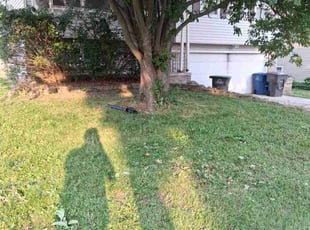 Weeding by Casey Weaver for Turner C. in Des Moines, IA