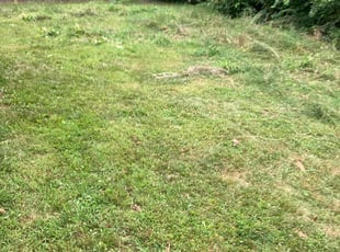 Cleanups by Tim Kirkpatrick for Marilou S. in Kansas City, MO
