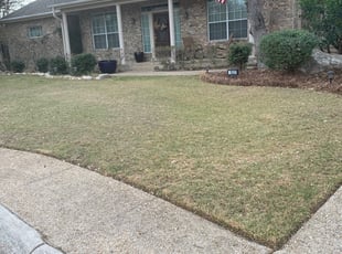 Leaf Removal by Stanmore Hinds for Tom C. in San Antonio, TX