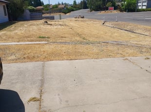 Cleanups by Juan Rodriguez for Dustin M. in Elverta, CA
