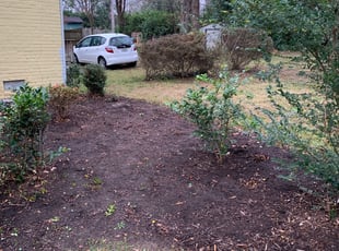 Bush Trimming by Matthew Rutledge for Gwen B. in Richmond, VA