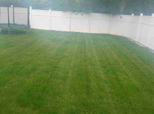 Eugene S.'s Lawn Mowing Service service result