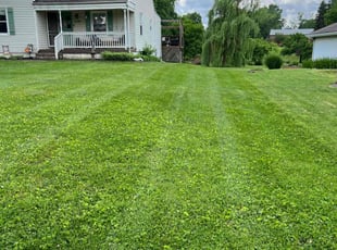 Tyler D.'s Lawn Care service result