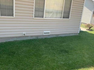Ryan Y.'s Lawn Mowing service result