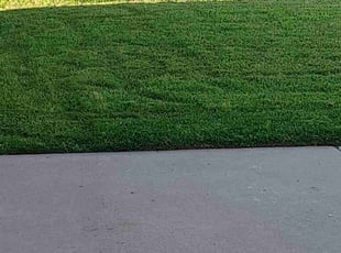 Sarkar A.'s Lawn Care service result