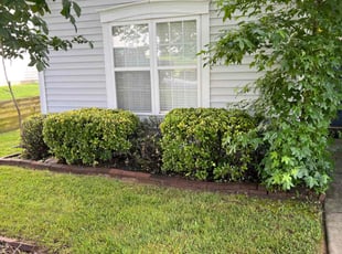 Bush Trimming by Julian Salinas for Joel V. in Indian Trail, NC