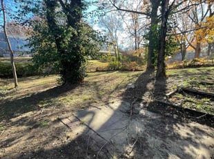 Leaf Removal by Harold Mabin Jr for Robert M. in Kansas City, MO
