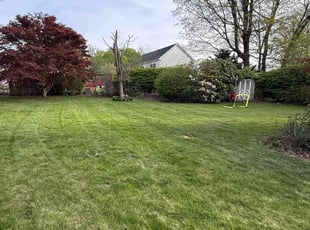 Lucas N.'s Lawn Mowing service result