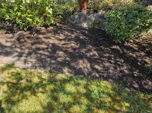 Cleanups by Gordon Grylls for Sabrina M. in Edgewood, WA