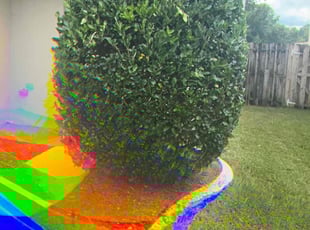 Bush Trimming by Kelvin Williams for Jackelin V. in Jacksonville, FL