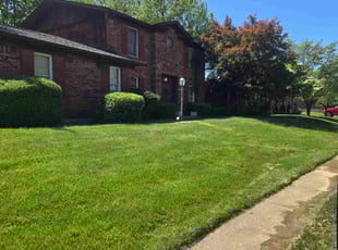Bush Trimming by Ceo Bailey for Larry P. in New Albany, IN