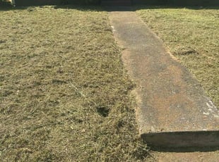 Cleanups by Patrick Budd for Catonya M. in Birmingham, AL