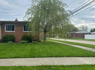 Juanitha M.'s Lawn Mowing service result
