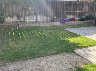 Jaswinder K.'s Lawn Mowing Service service result