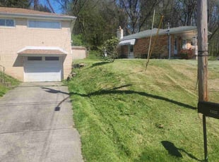 Lisa W.'s Lawn Mowing service result