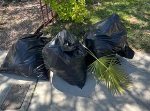 Bush Trimming by Jacob Strickler for Russell B. in Las Vegas, NV