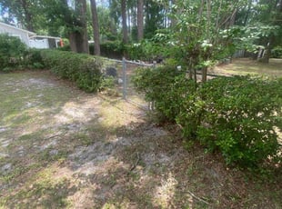 Bush Trimming by Ryan Wertz for Japera H. in Gainesville, FL