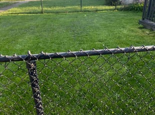 Talaya C.'s Lawn Mowing Service service result