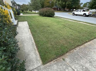 Nicole T.'s Lawn Maintenance service result