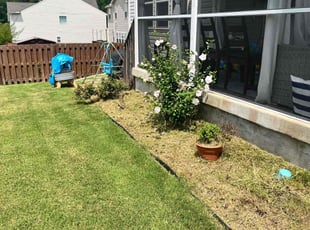Weeding by Caitlin Hough for Sandeep P. in Morrisville, NC