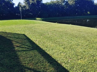 Michael P.'s Lawn Maintenance service result