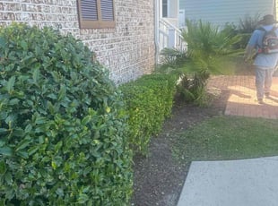 Bush Trimming by Antonio Shaw for Josh L. in Myrtle Beach, SC