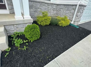 Weeding by Michael Snell for Eliana & Brian A. in York, PA