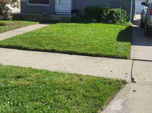 AD D.'s Lawn Service service result