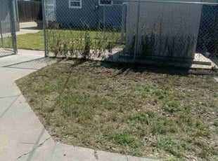 Cleanups by stacy craven for Traci G. in Amarillo, TX