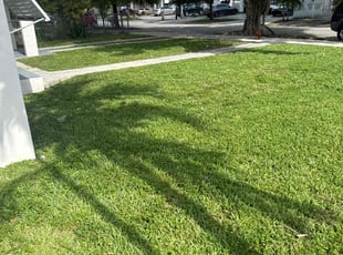 Jerry J.'s Lawn Mowing service result