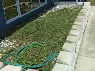 Weeding by Jose Santos for Tina S. in Fort Myers, FL